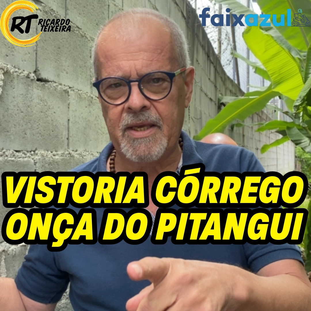 Vereador Ricardo Teixeira – Vistoria Córrego Onça do Pitangui, Guaianases