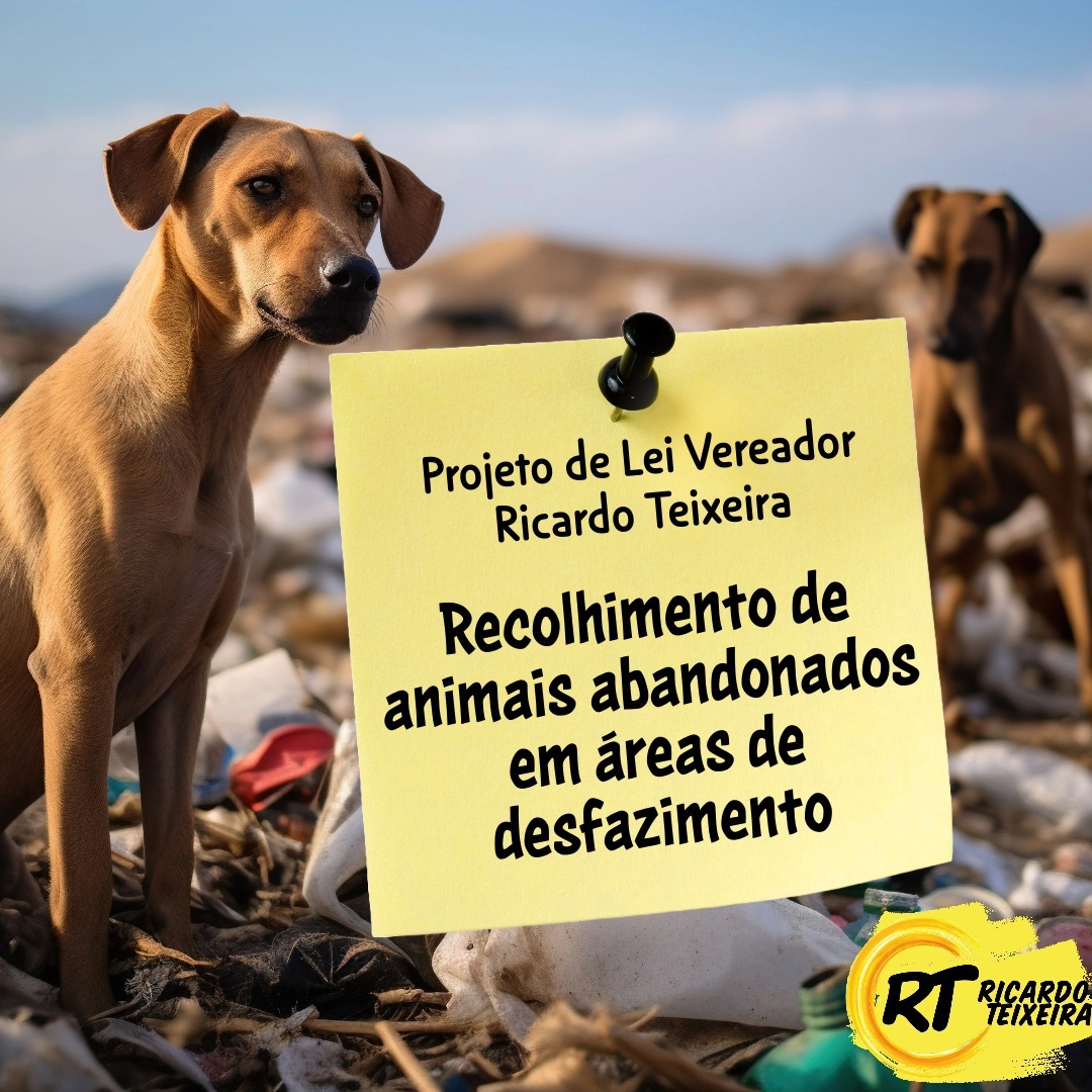 PL 261/2023 – Recolhimento de animais abandonados em áreas de desfazimento