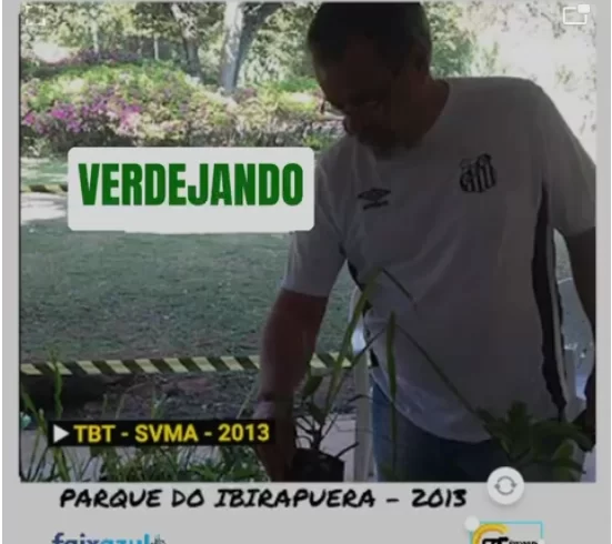 
  TBT – Verdejando – 2013 – Vereador Ricardo Teixeira