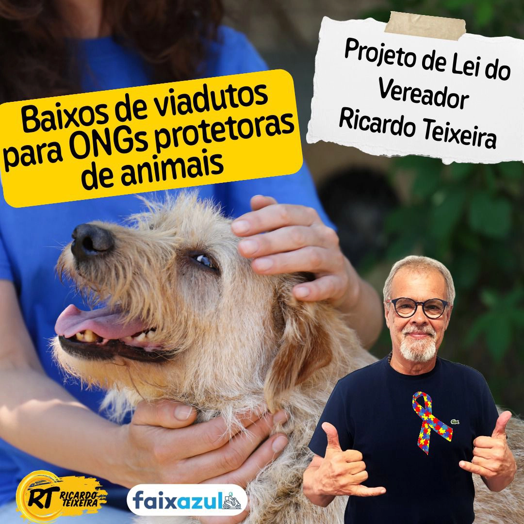 PL 646/2018 – Baixos de Viadutos para ONGs protetoras de animais