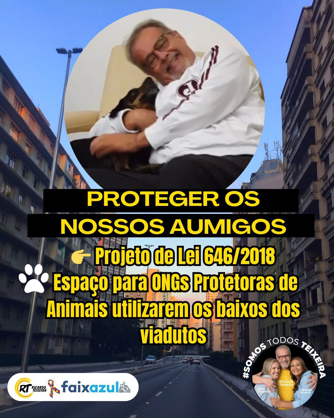 PL 646/2018 – Baixos de viadutos para ONGs protetoras de animais