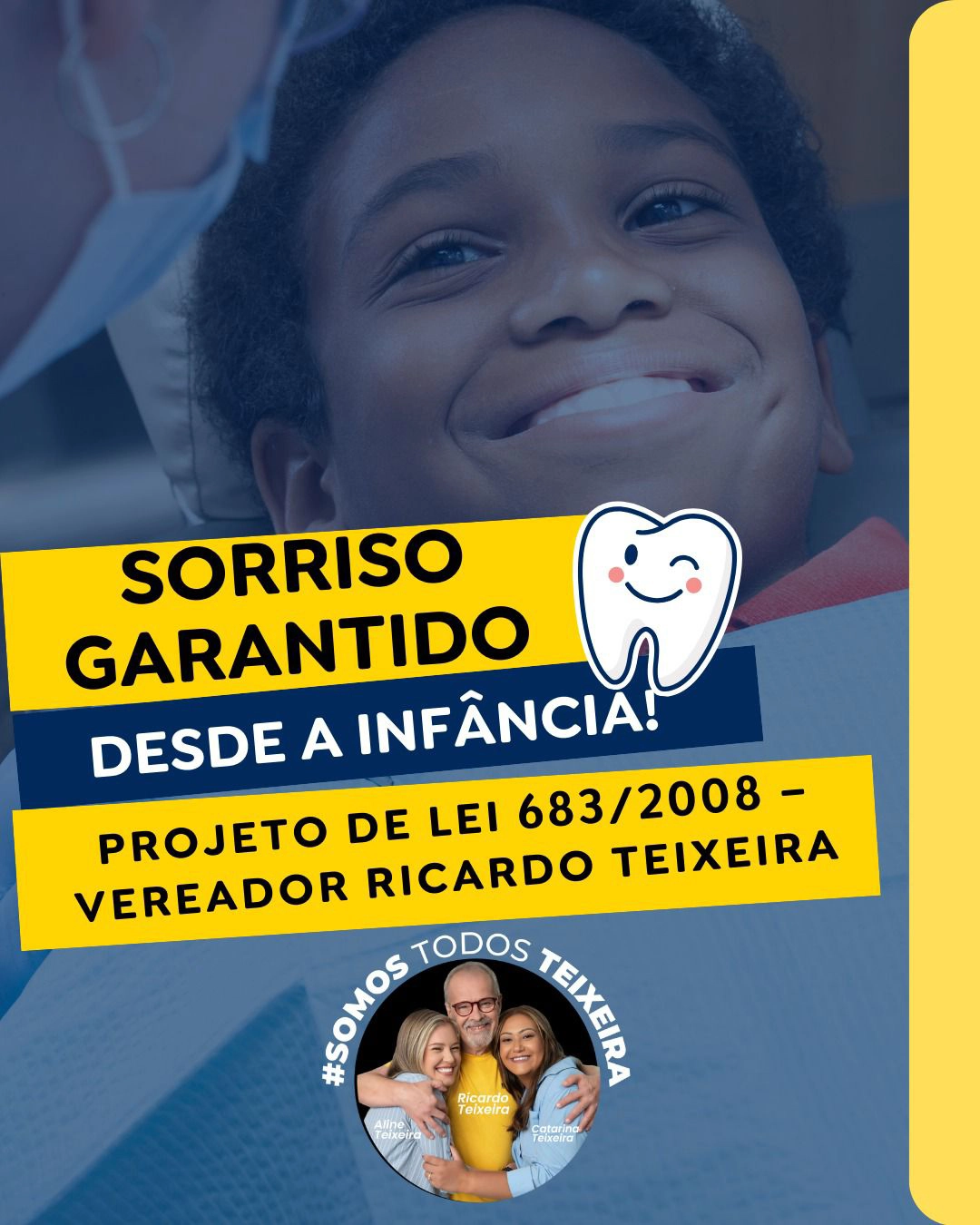 PL 683/2008 -Dentistas nas escolas