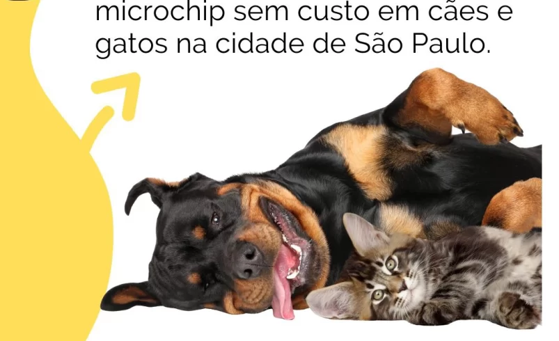 
  PL 431/2023 – Implantação de microchip em animais domésticos