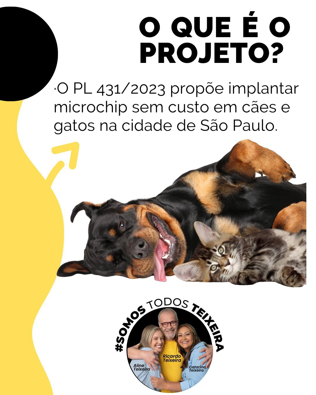 PL 431/2023 – Implantação de microchip em animais domésticos
